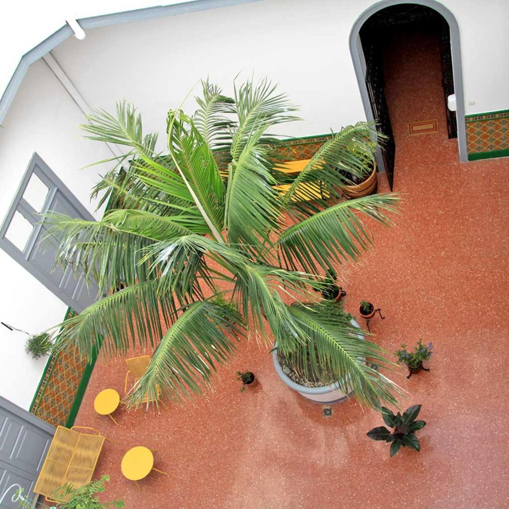Coliving 1907 Hotel Las Palmas de Gran Canaria Eksteriør billede